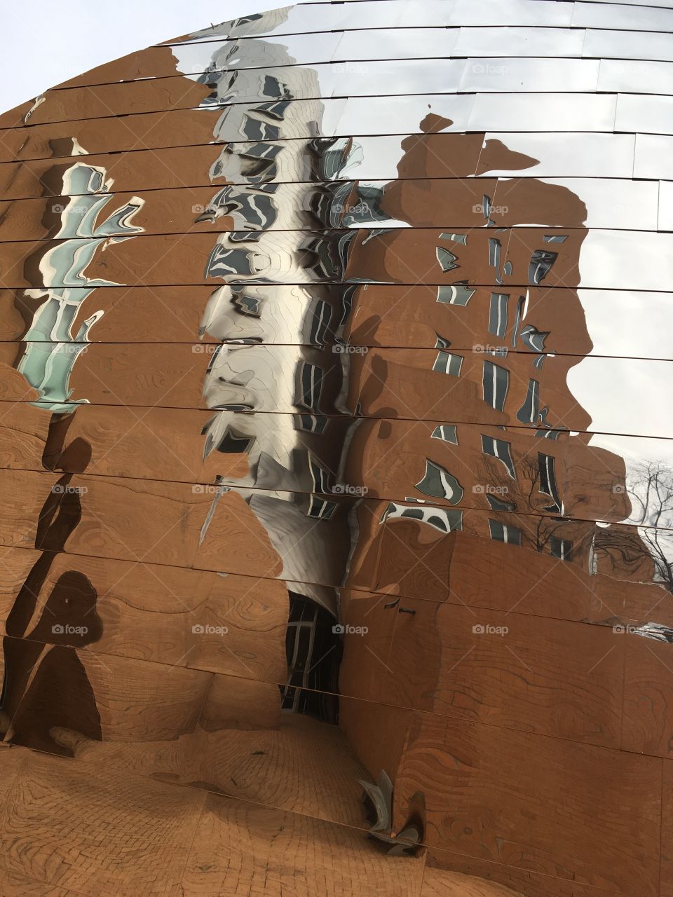 Science reflection II