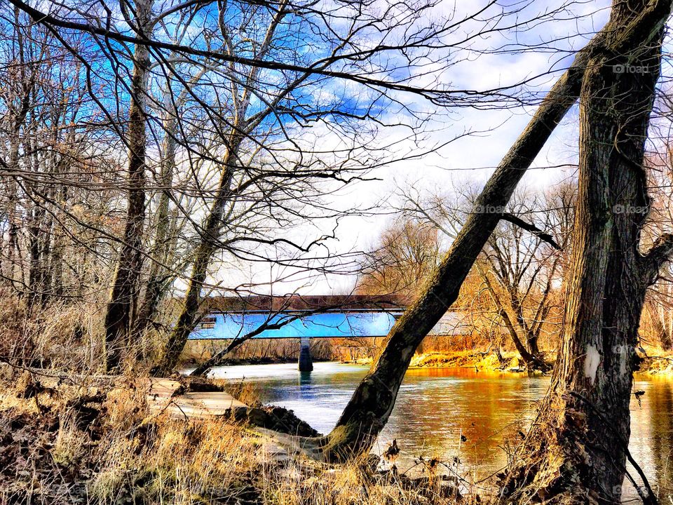 Beautiful view looking at the bridge. 