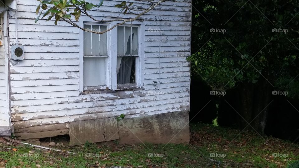 House, Wood, No Person, Building, Architecture