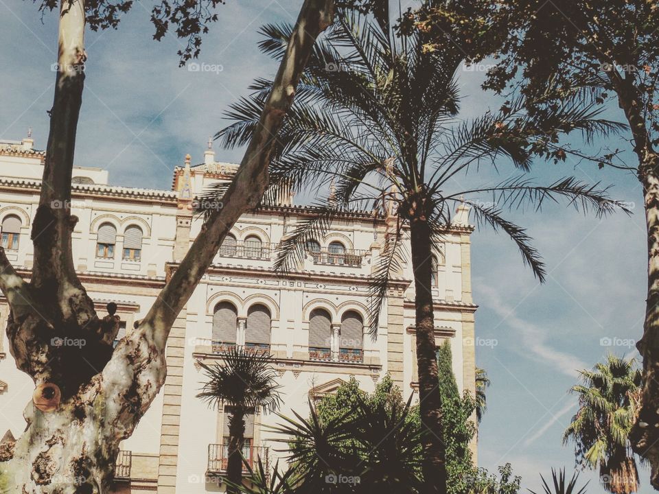 Hotel Alfonso XIII, Seville
