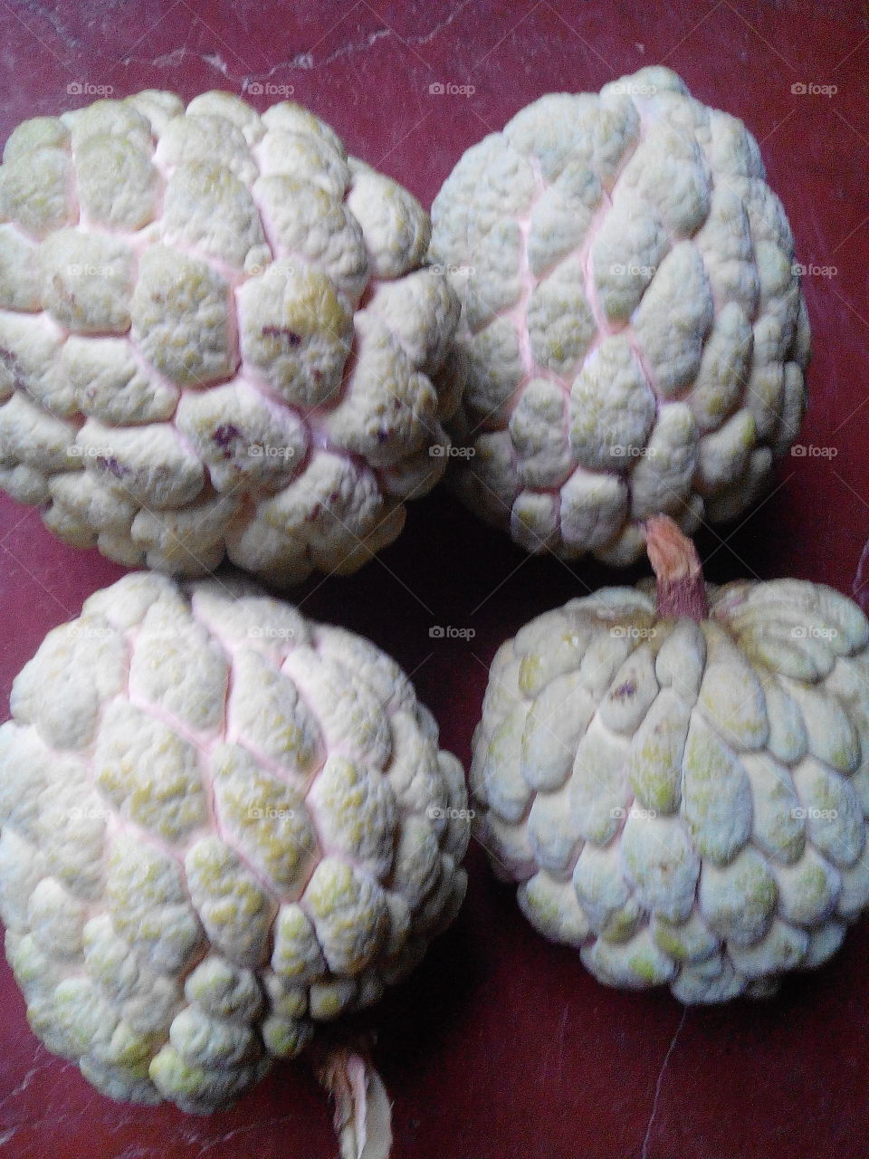 sugar-apple . i pick this sugar-apple for my love