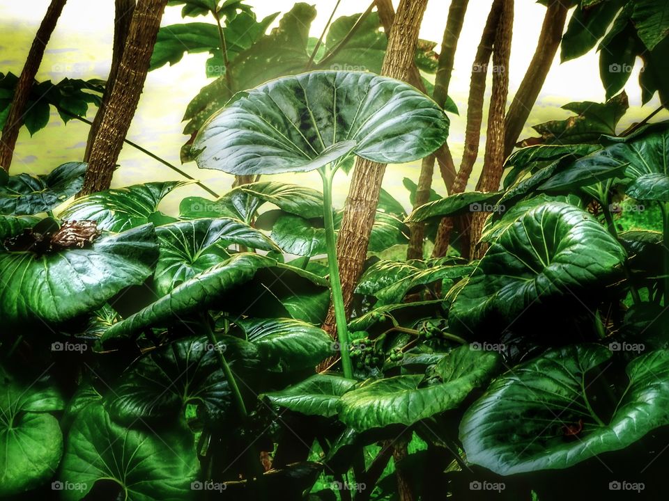 The best of photography