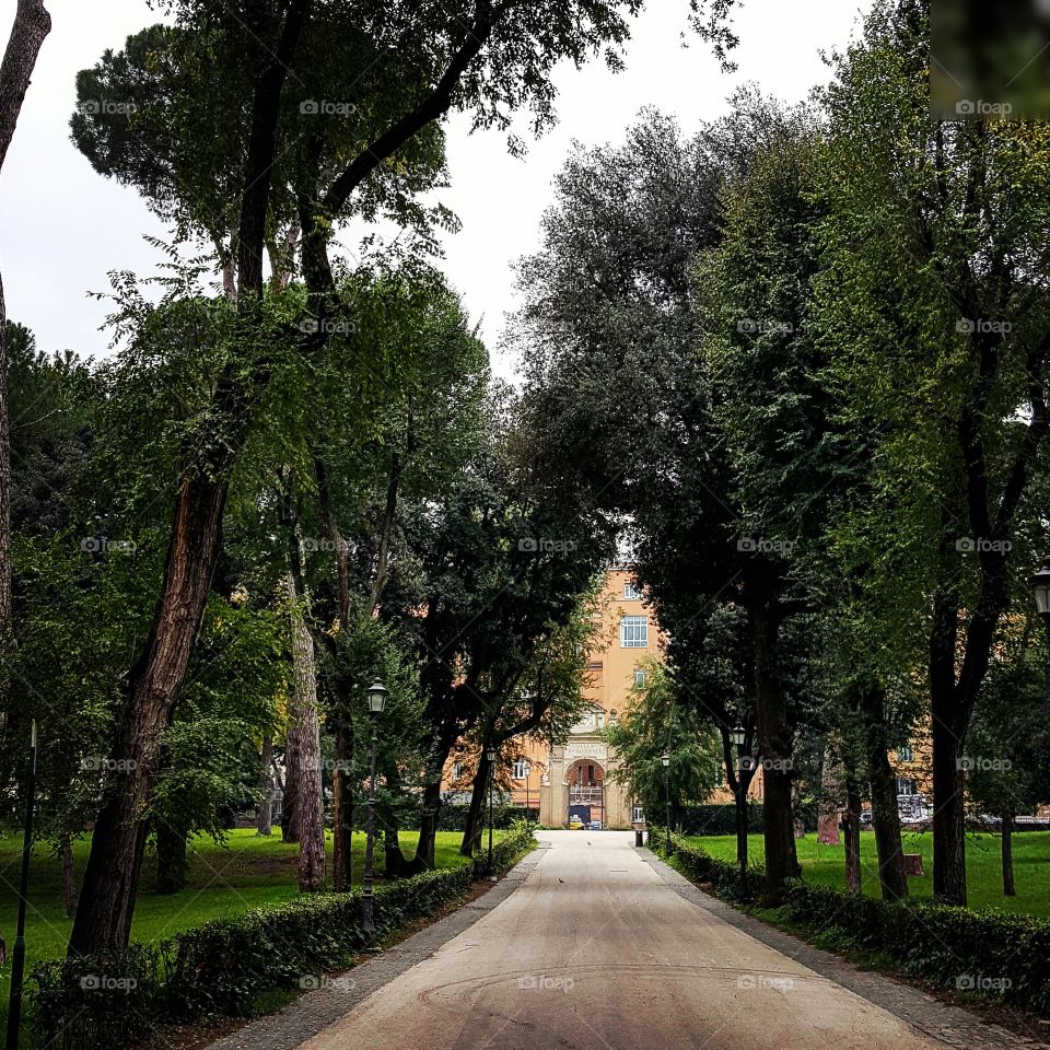 Borghese Park Rome