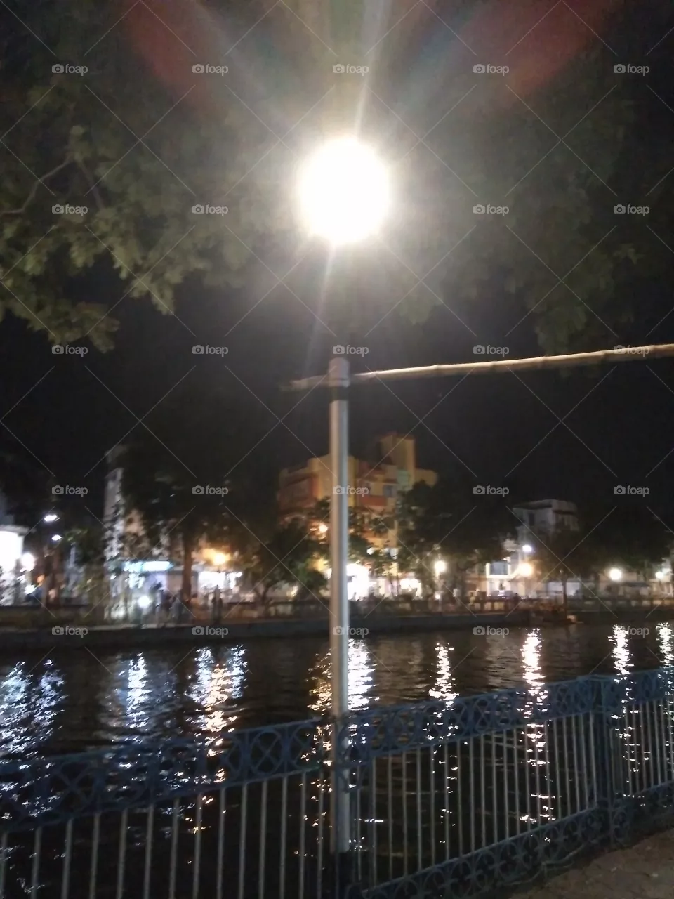 Night light