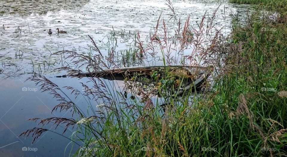 Old, almost sunken rowboat, in the spring