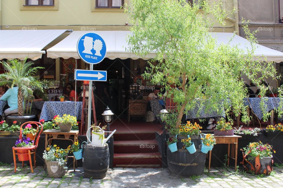 A local cafe decorated with trees, flowers and plants in Lviv city center, Ukraine. 