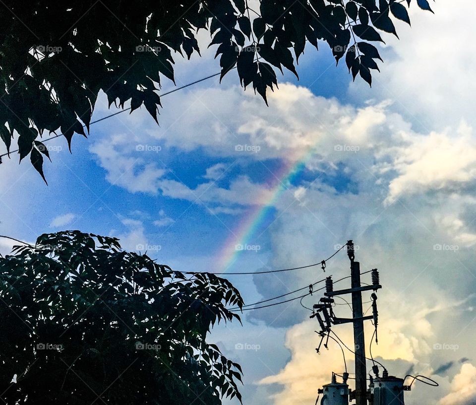 Rainbow . Look up 