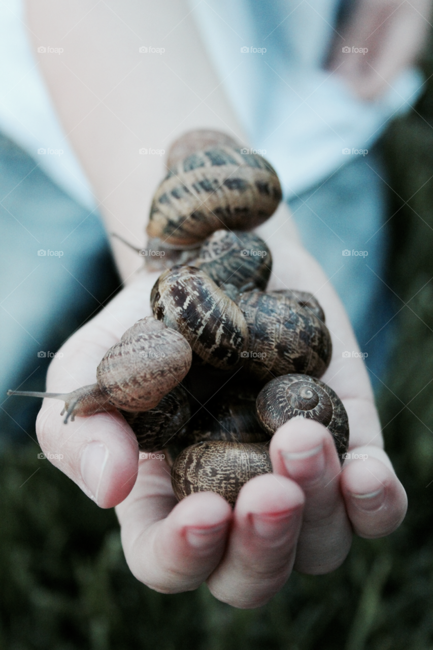 A handful of fall snails