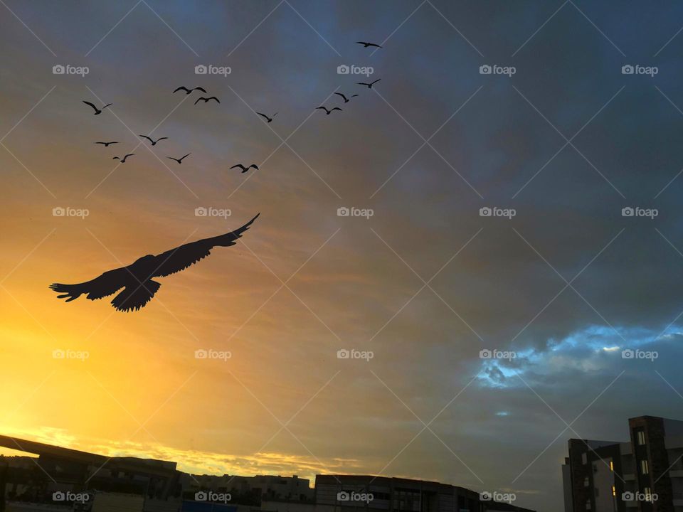 When the day and night meet 