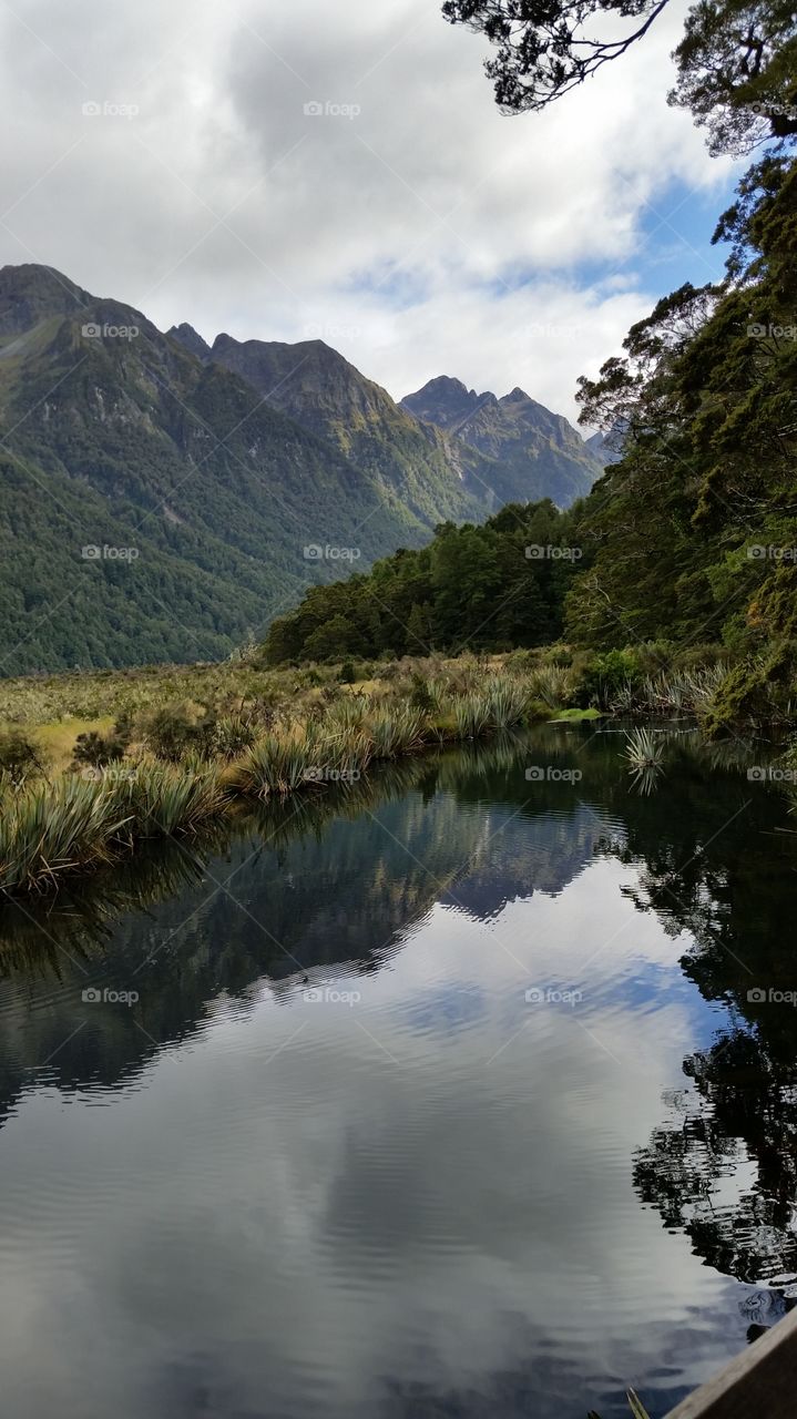 New zealand reflections