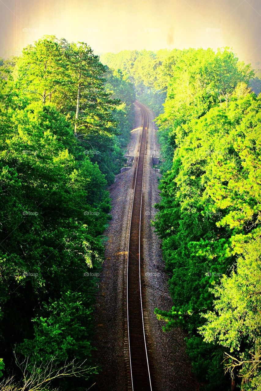 Tracks through Trees