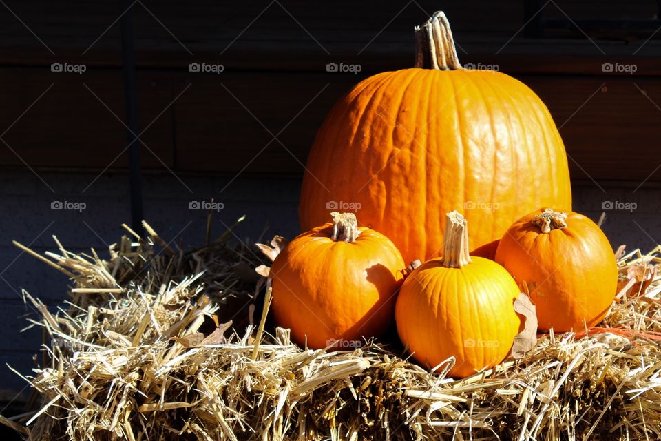 A display of one large and two small orange pumpkins on a bale of hay. 