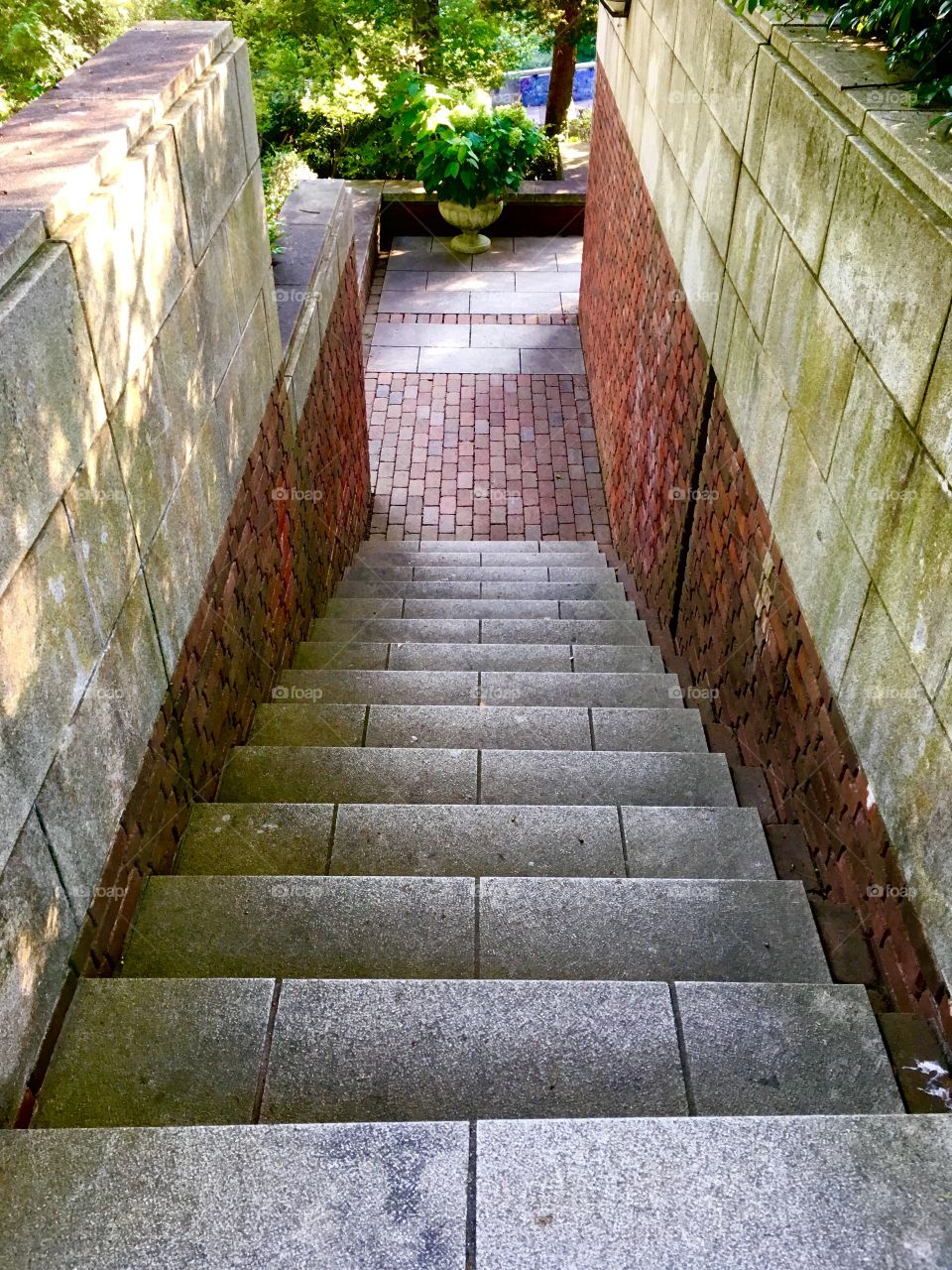 Staircase in a garden. 