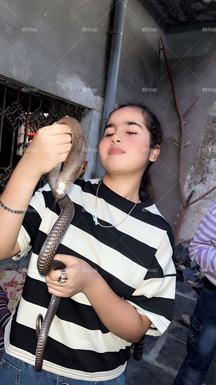 a reptile  snake that is smooth by touch with poison  in the mouth. that can kill anyone.