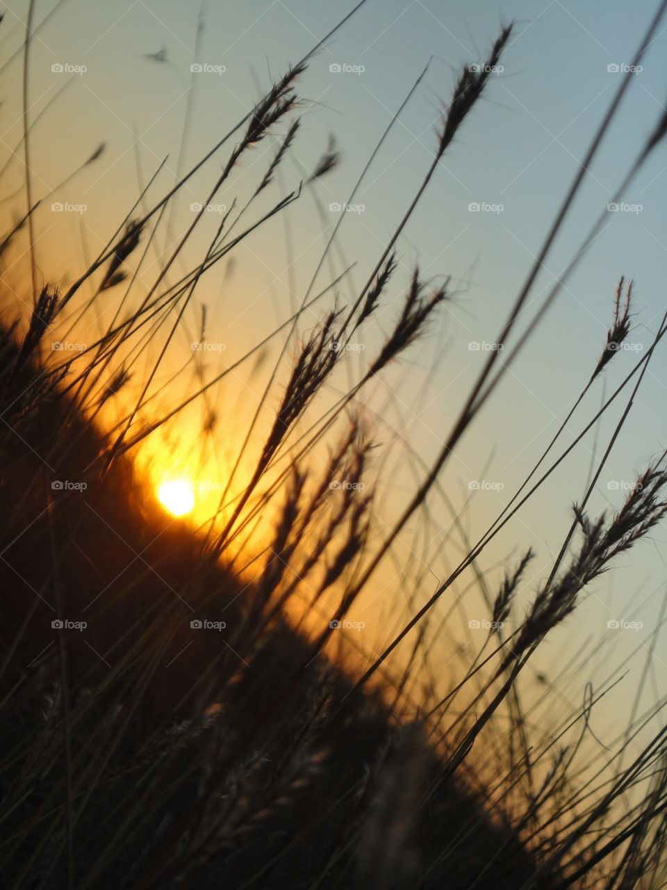 sunset in the steppe earth love