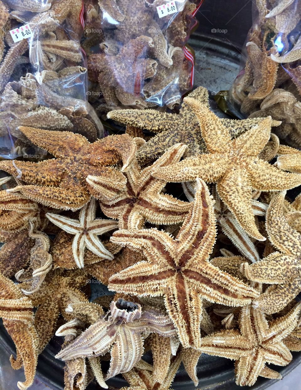 Starfish for sale in shop