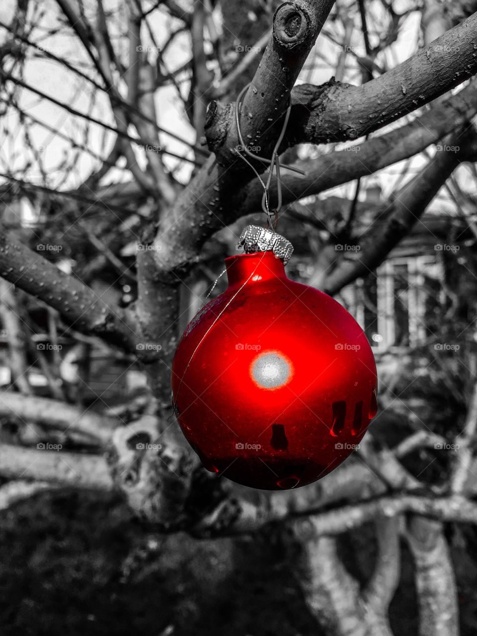 Christmas bauble in black and white with red accent