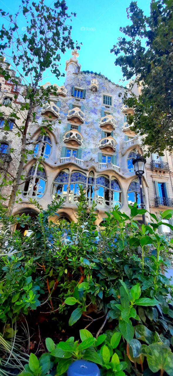 batlo gaudi