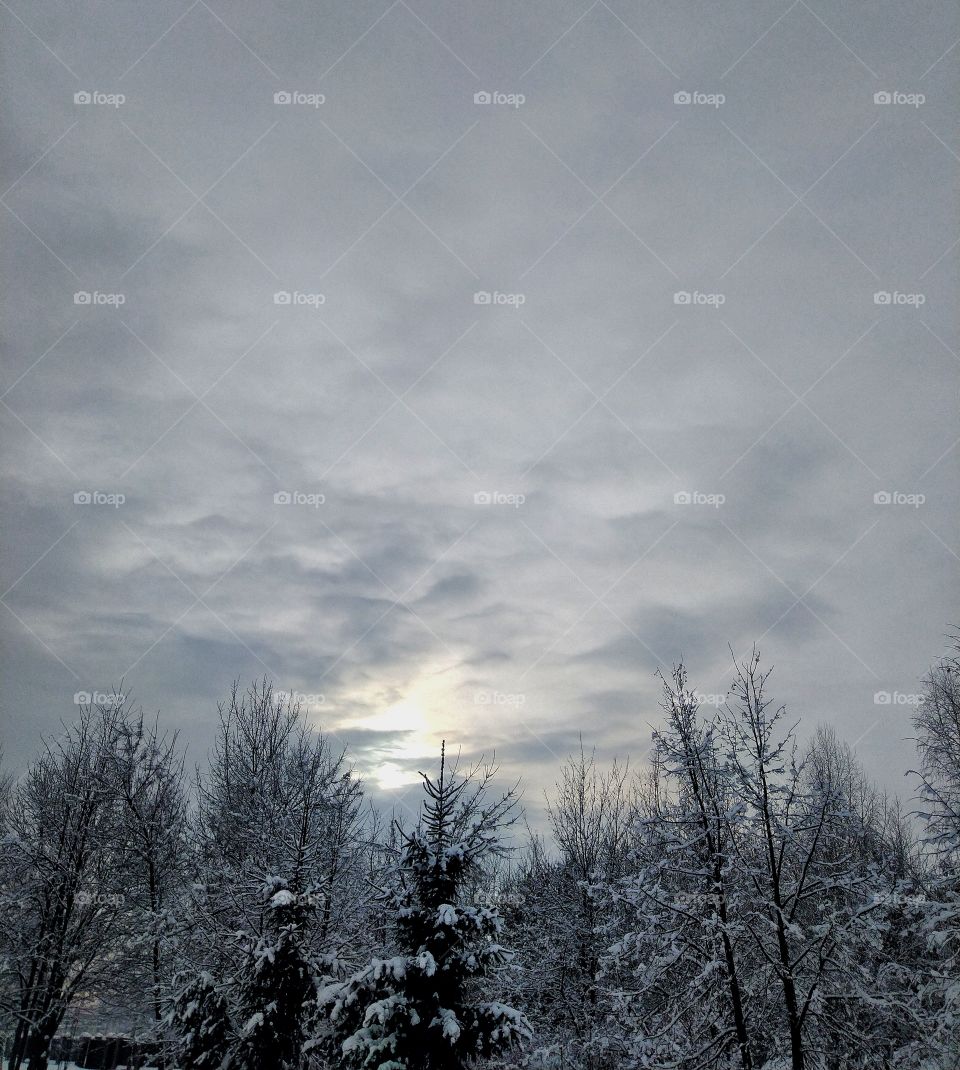 park. Russia. Siberia.