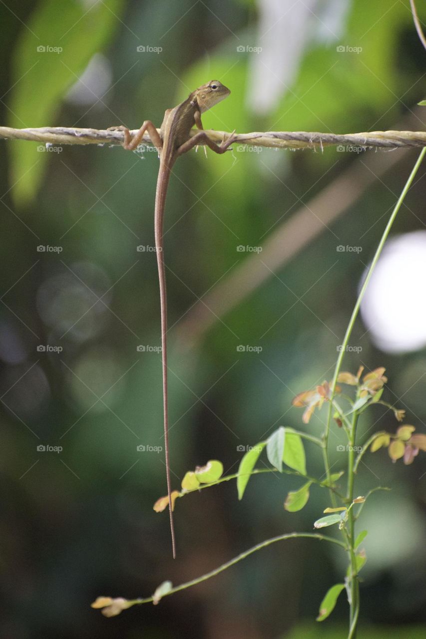 Looks like someone falling from a bridge 