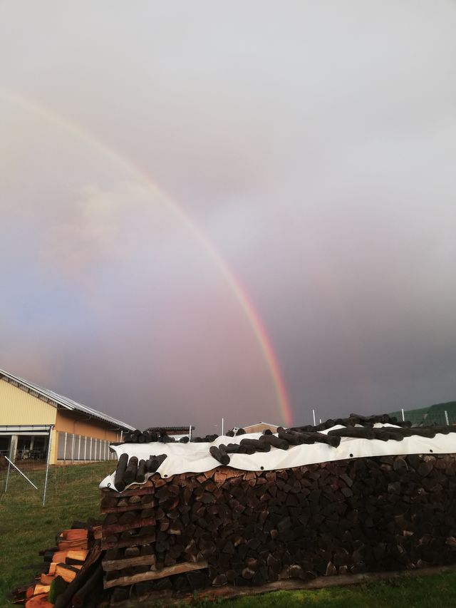 Regenbogen