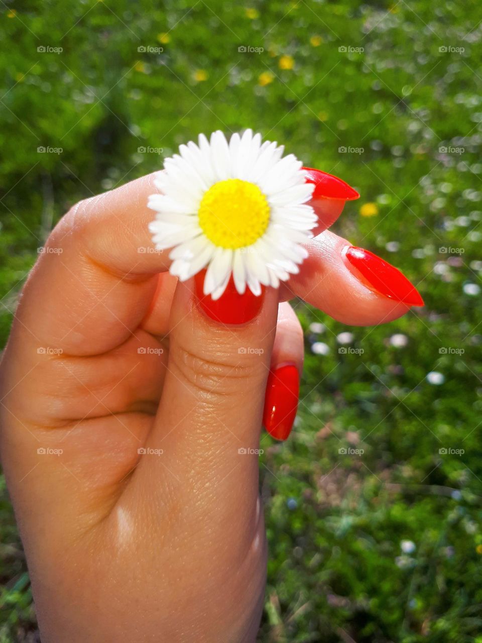 Spring in my fingers