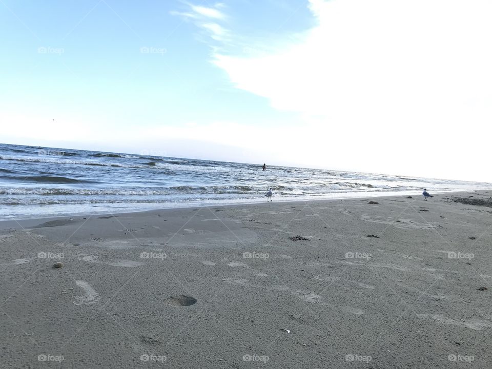 Galveston beach