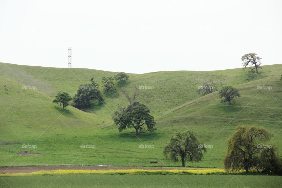 Landscape with hills and trees