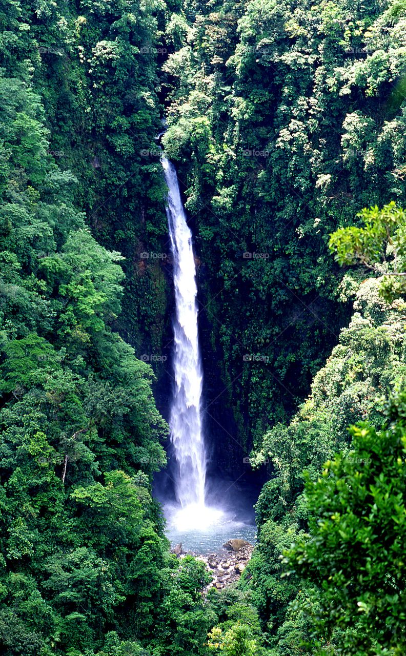 waterfall trees jungle rainforest