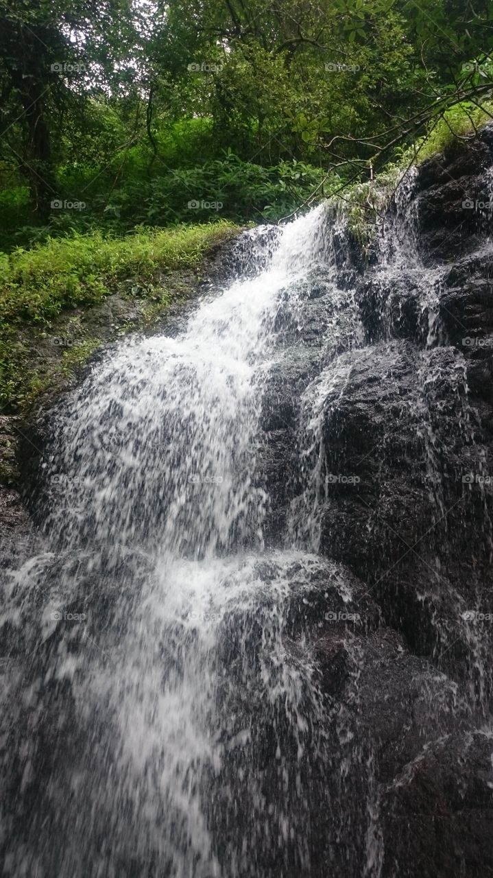 waterfalls India