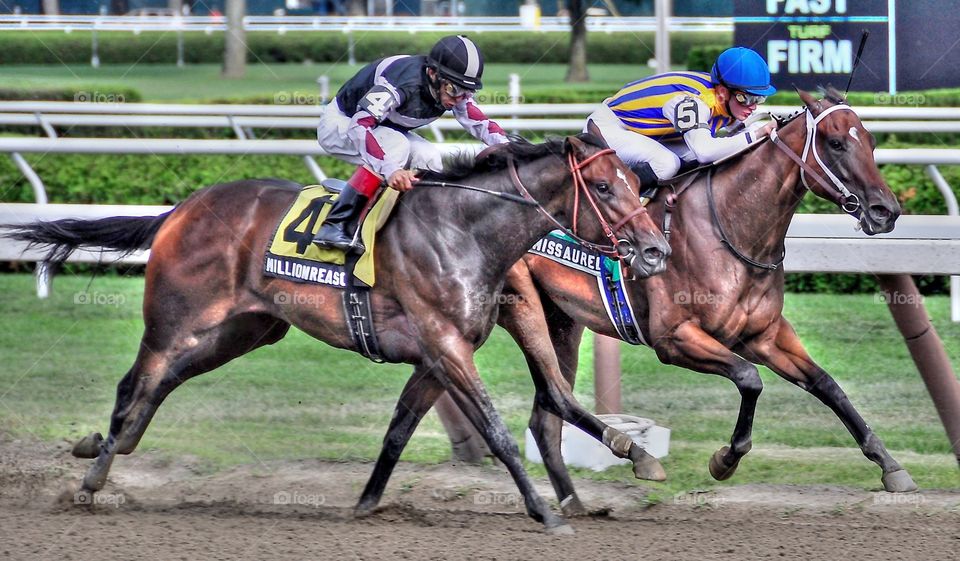 My Miss Aurelia. Champion juvenile filly My Miss Aurelia defeats Million Reasons Why in the Schuylerville stakes at historic Saratoga.