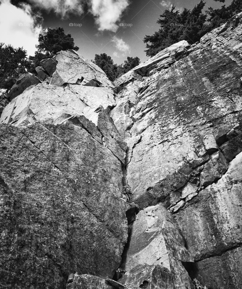 Mount Ranier National Park