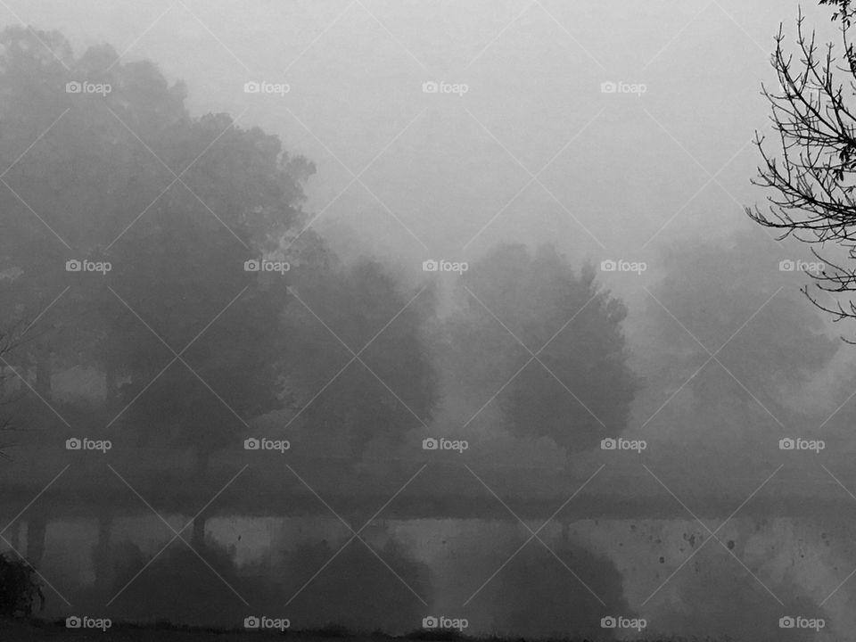 Foggy morning at East Lake 7