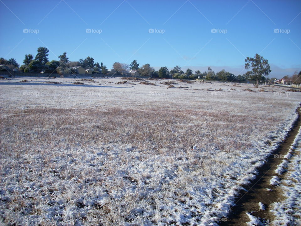 The field outside my house in South Africa after it snowed