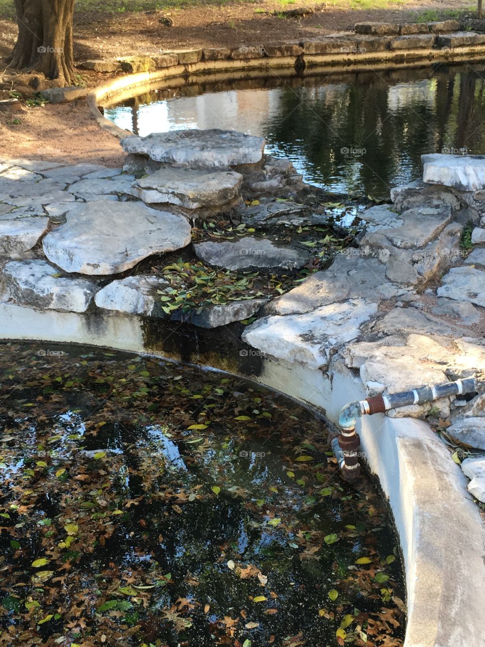 Turtle Pond at The University of Texas
