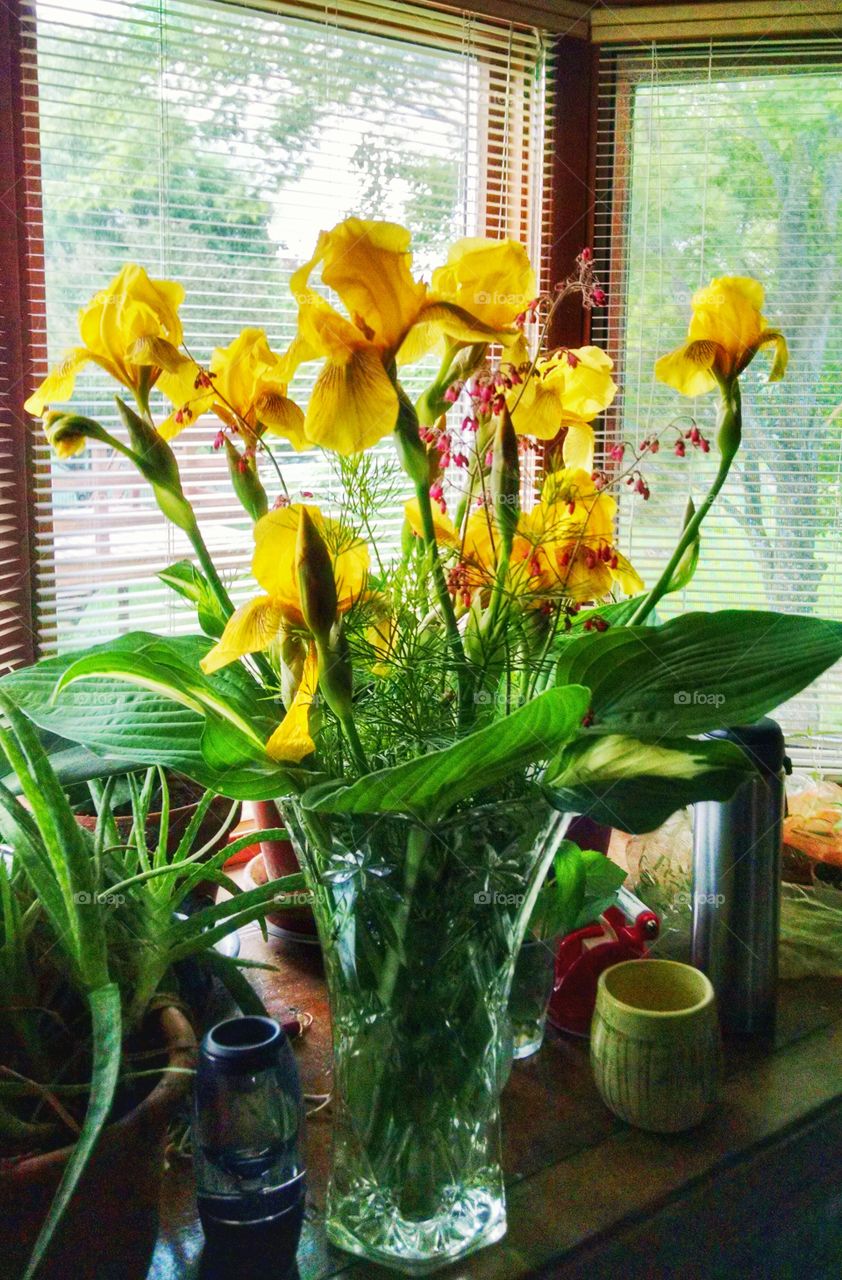 yellow iris. these are homegrown flowers arranged by my wife. 