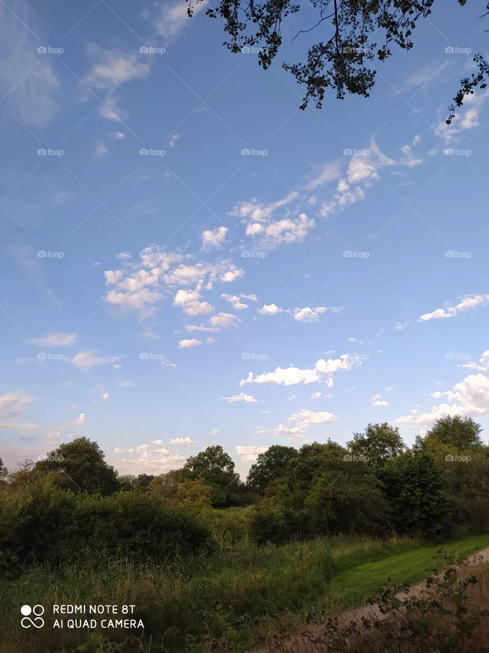 sky