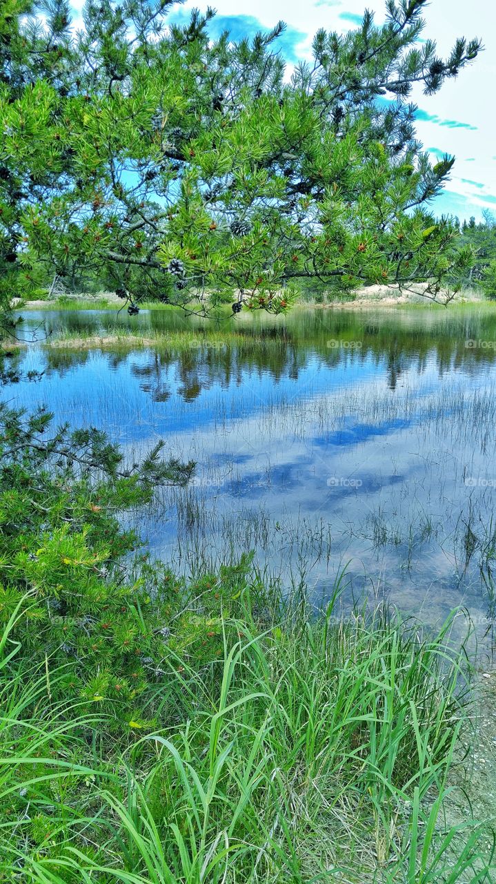 Pond on a hike to Ludington Lighthouse