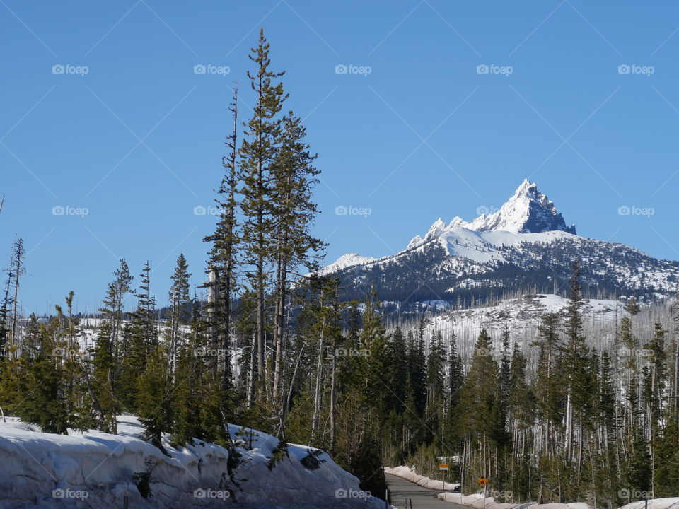 The jagged snow covered peak of Mt. Washington in Oregon’s forests and Cascade Mountain Range against a clear blue sky on a sunny spring day. 