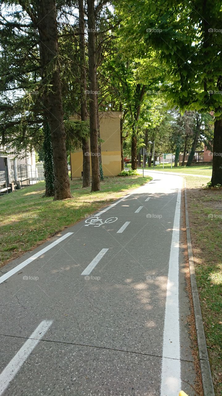 Bike path of the Italian park with trees plants grass and a canal