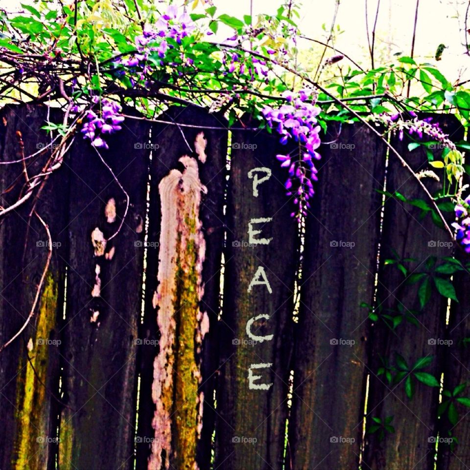 Peace