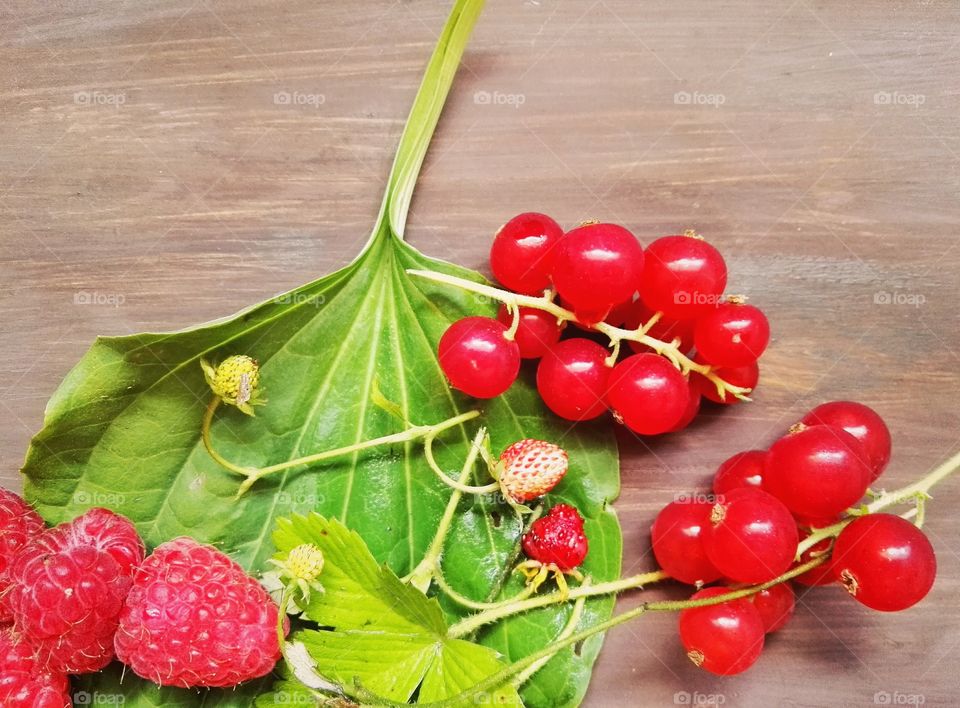 Wild and home berries