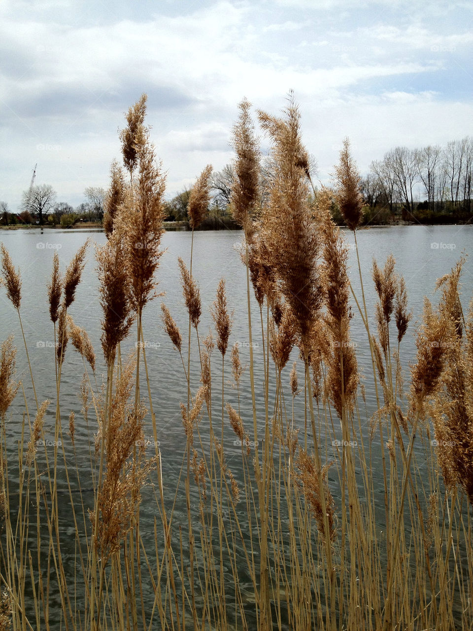 beach sky green yellow by somebeach