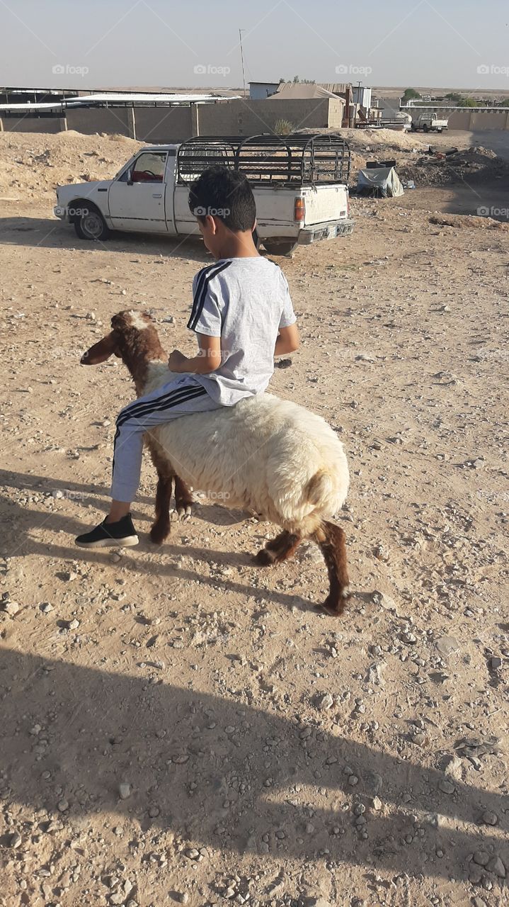 I need your support guys, I'm very, very poor, poor