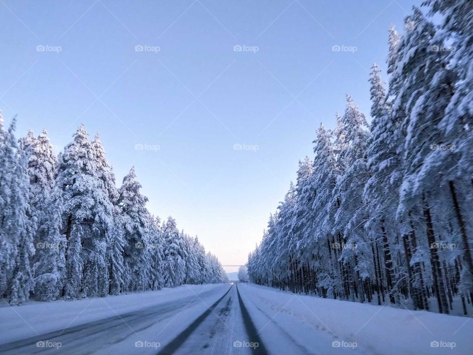 Road in the winter, Northern Finland