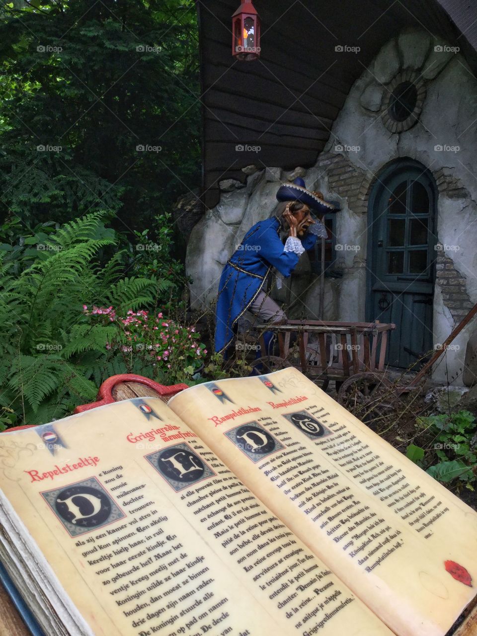 Book in the forest