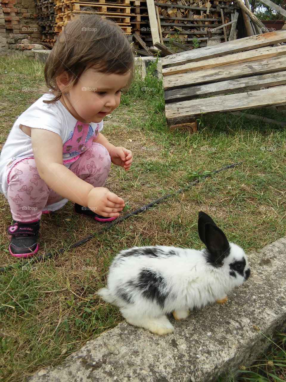 Bunny and the baby