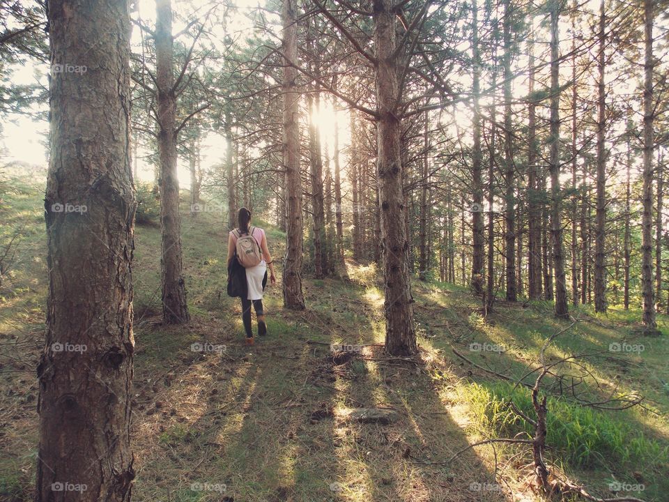 Wandering through the mountain woods. Hiking with friends from school and having a blast.