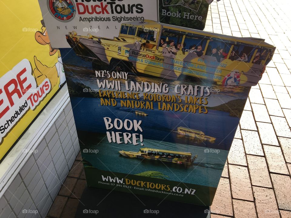 Vacation at Rotorua, New Zealand 