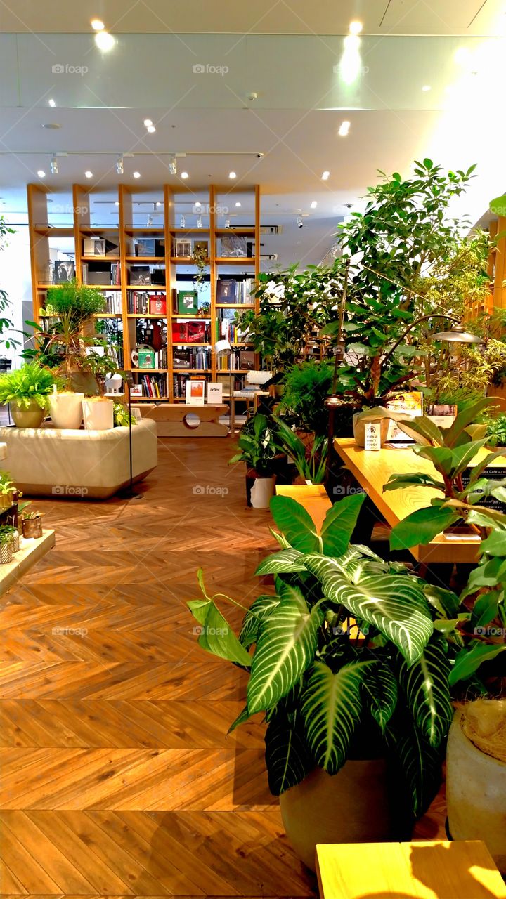 Bookstore with greens